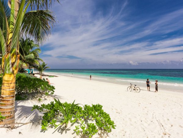 Tulum Home 989176