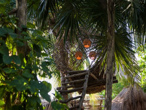 Tulum Home 989177