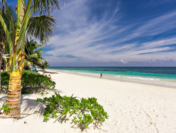 Tulum Home 989177