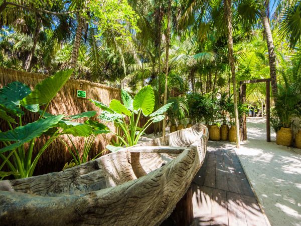 Tulum Home 989179
