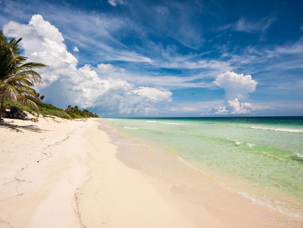 Tulum Home 989185