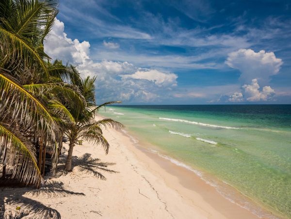 Tulum Home 989185