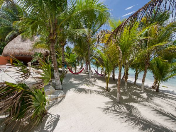 Tulum Home 989195