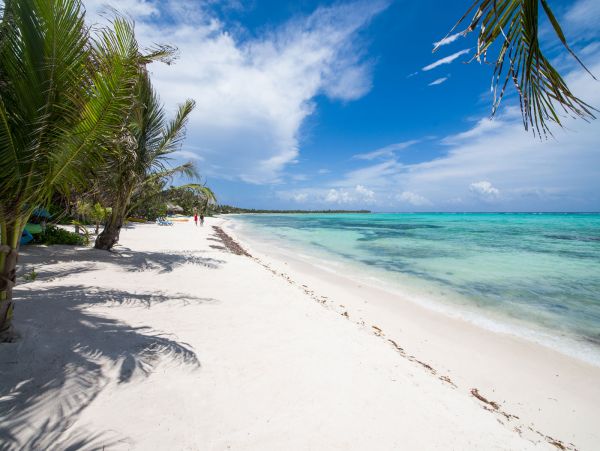 Tulum Home 989195