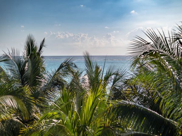 Tulum Home 989196