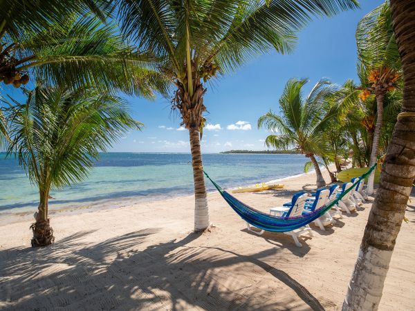 Tulum Home 989197