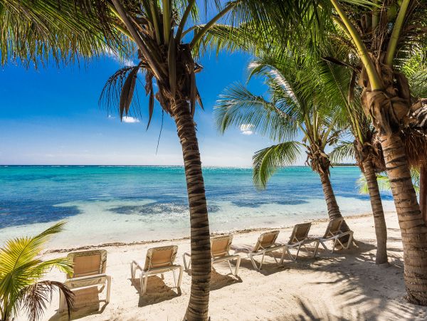 Tulum Home 989198
