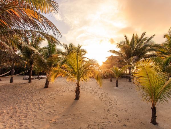 Tulum Home 989202