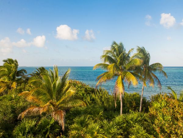 Tulum Home 989203