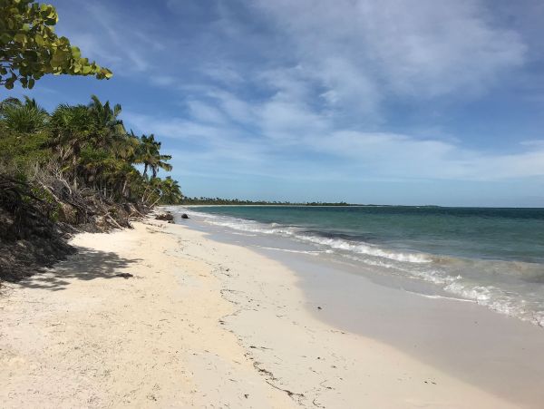 Tulum Home 989203