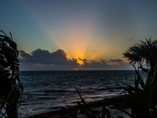 Tulum Home 989203