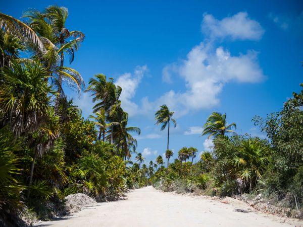 Tulum Home 989203