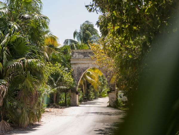 Tulum Home 989203