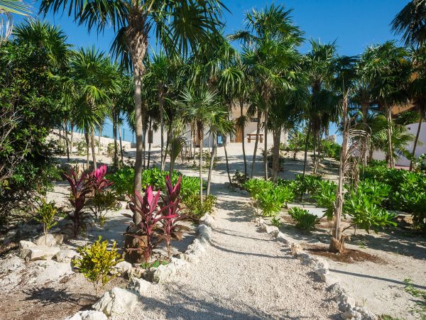 Tulum Home 989206