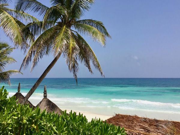 Tulum Home 989215