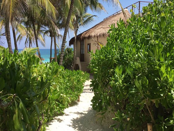 Tulum Home 989215