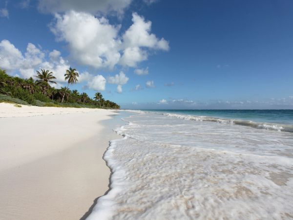 Tulum Home 989216