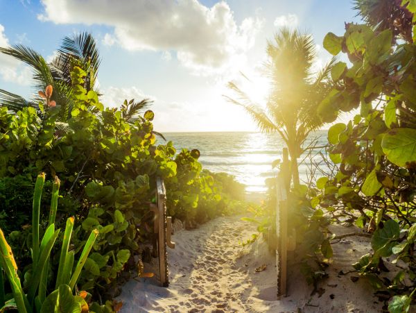 Tulum Home 989217