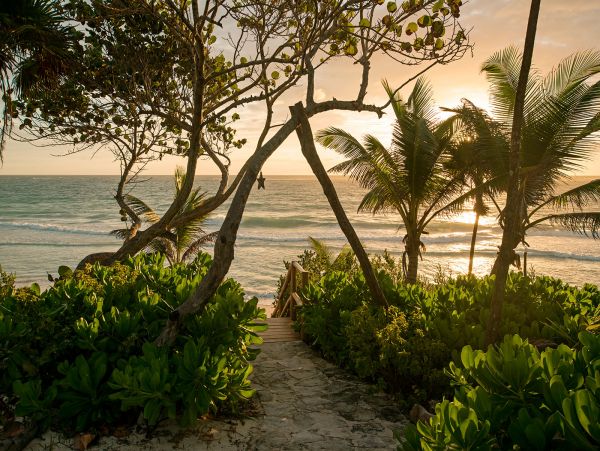 Tulum Home 989223