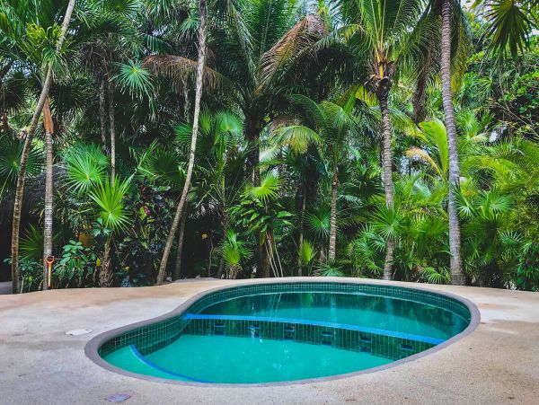 Tulum Home 989226