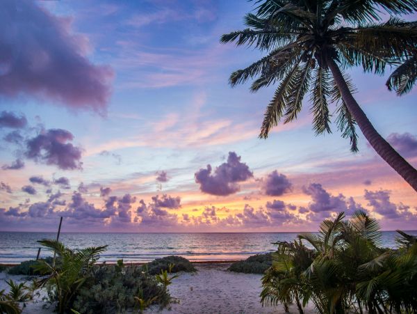 Tulum Home 989227
