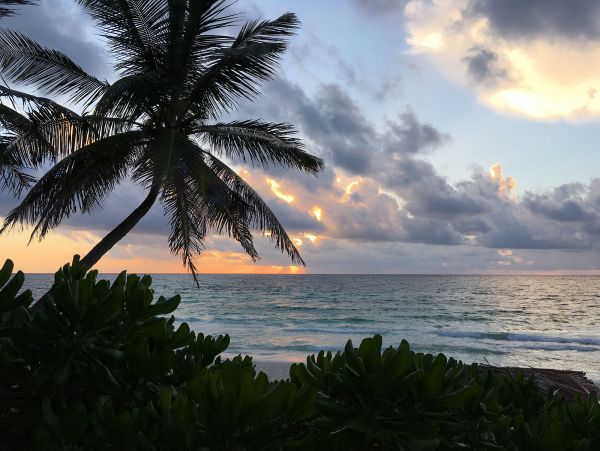 Tulum Home 989232