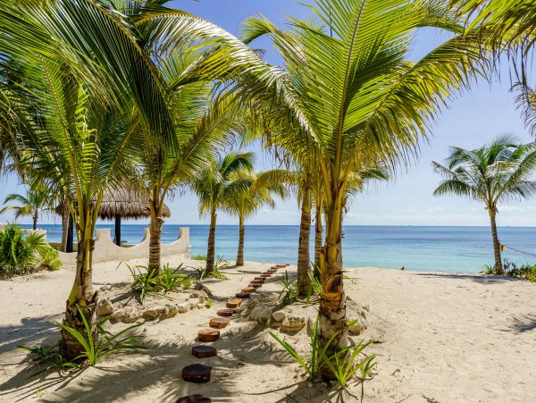 Tulum Home 989240