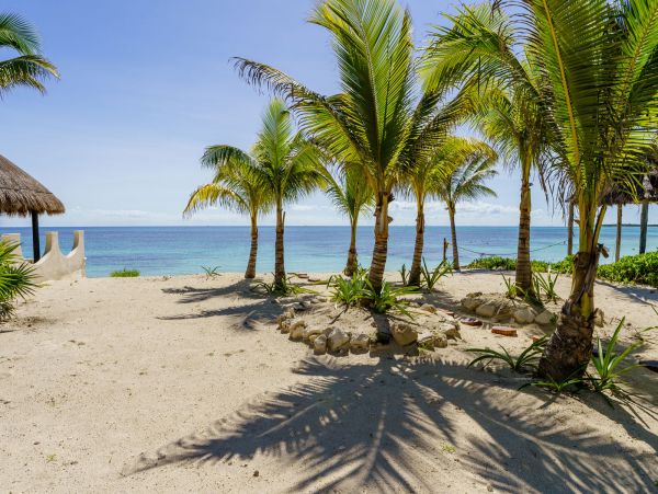 Tulum Home 989240