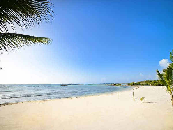 Tulum Home 989245