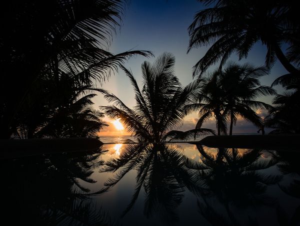 Tulum Home 989251