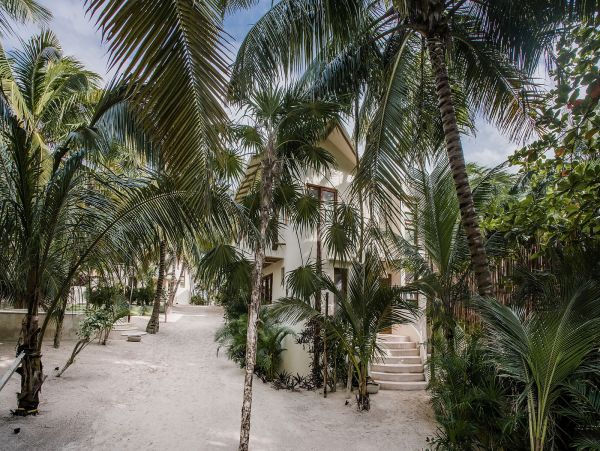 Tulum Home 989253