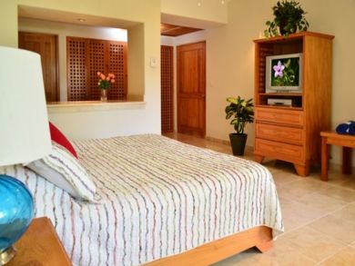 Playa Del Carmen Condo 989258