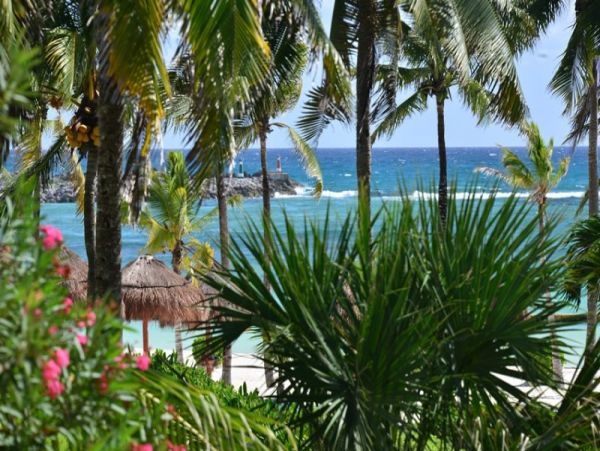 Playa Del Carmen Condo 989259