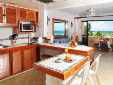 Playa Del Carmen Condo 989263