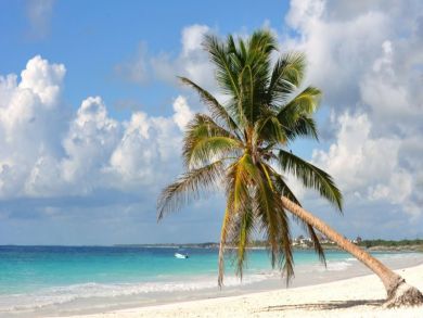 Tulum Home 989279