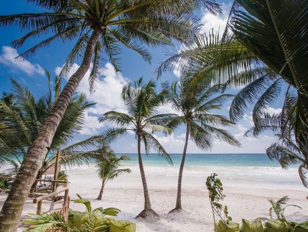 Cancun Home 989339