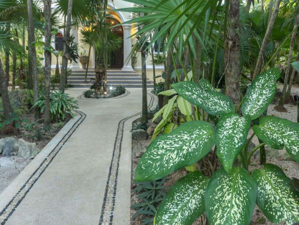 Cancun Home 989347