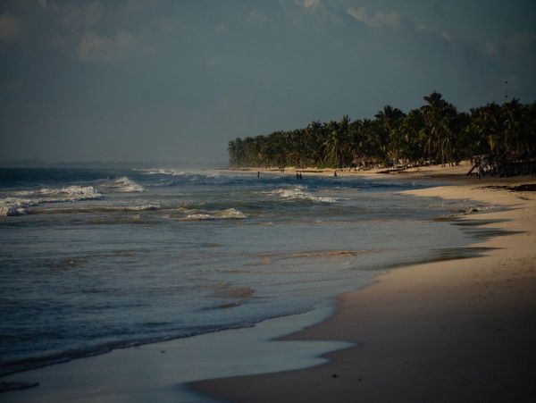Tulum Home 989423