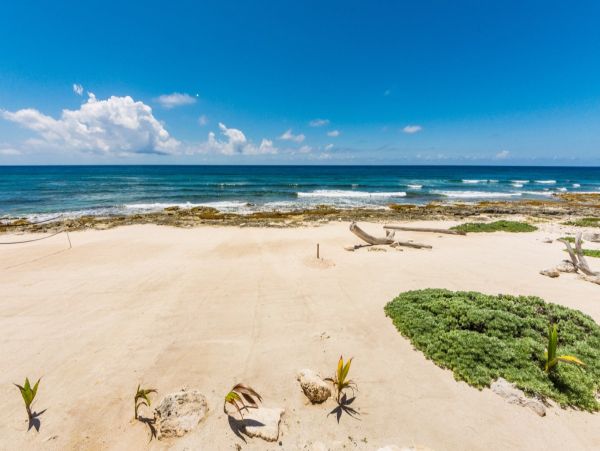 Tulum Home 989426