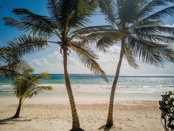 Tulum Home 989431