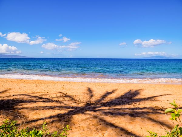Wailea Luxury Home with Pool & Spa Right on the Beach