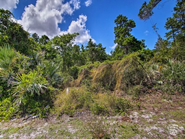 Jensen Beach Home 989506