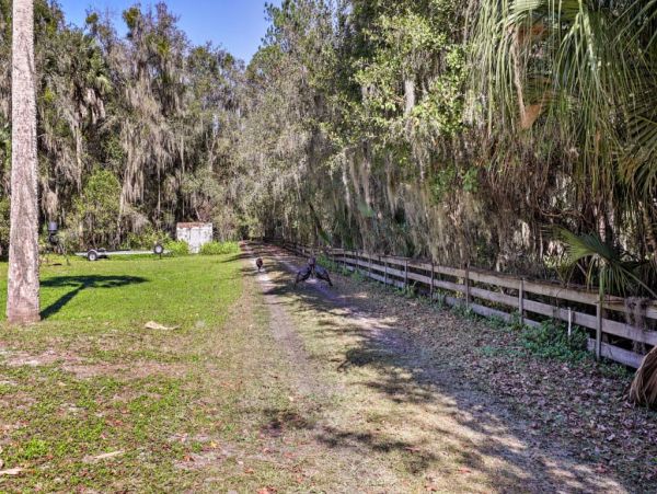 Palm Coast Home 989527