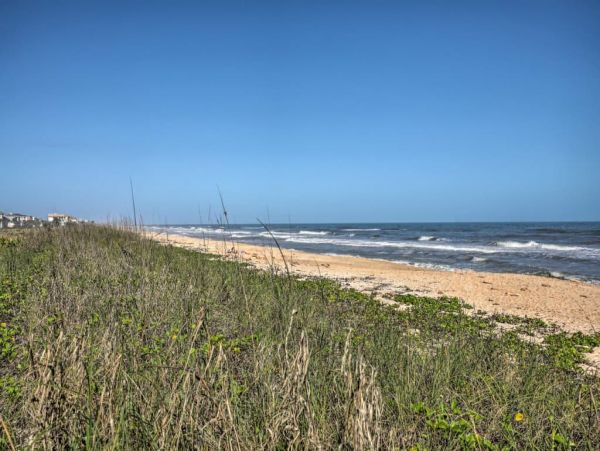 Palm Coast Home 989630