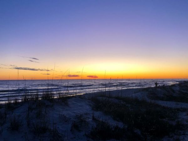 Beaches Of South Walton Home 989638