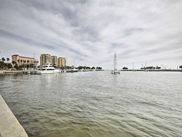 St. Petersburg Home 989681