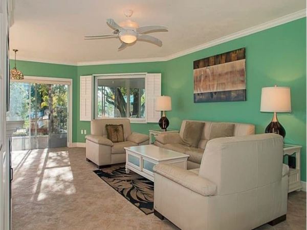 St. Petersburg Home 989693