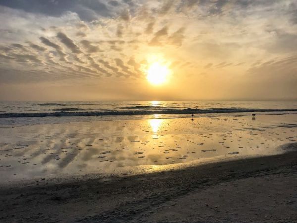 Indian Shores Ai Home 989717