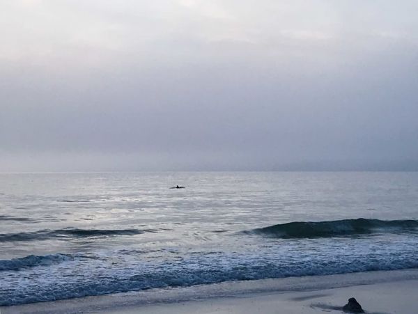 Indian Shores Ai Home 989717