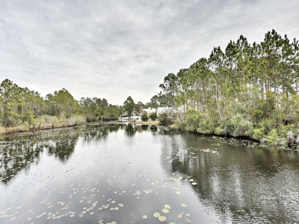 Beaches Of South Walton Home 989746